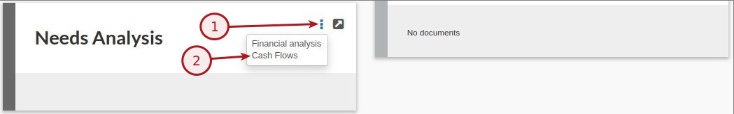 Needs Analysis - Cash Flows