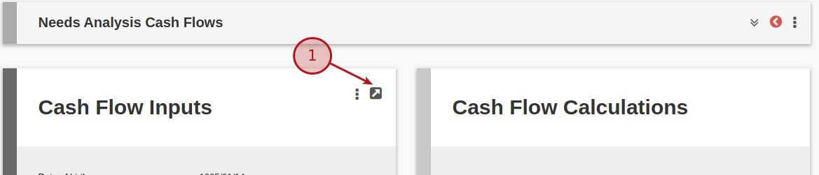 Needs Analysis - Cash Flows