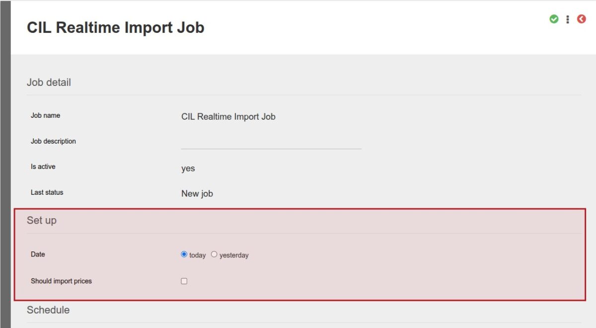 CIL Realtime Import Job
